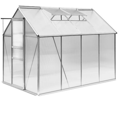 Niet-gecoat frame afwerking 6ft X 8ft Grote tuin kas voor buiten tuinieren