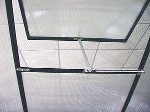 Niet-gecoat frame afwerking 6ft X 8ft Grote tuin kas voor buiten tuinieren