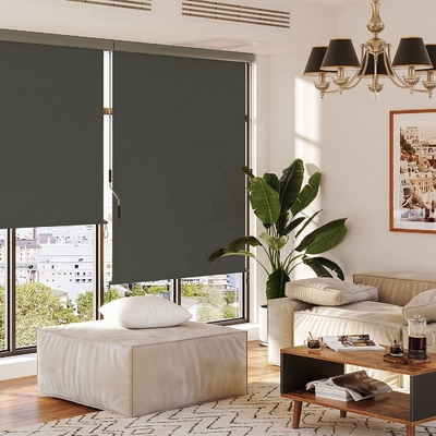 Balkon zonnescherming en vensterbescherming met verticale dakluizen van 160*250 cm